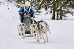 Kandersteg 2014 WM