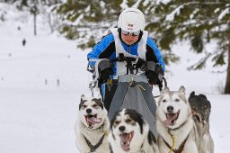 Kandersteg 2014 WM