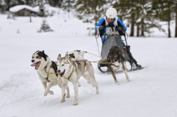 Kandersteg 2014 WM