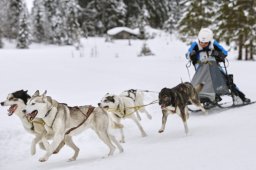 Kandersteg 2014 WM