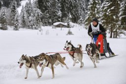 Kandersteg 2014 WM