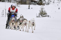 Kandersteg 2014 WM