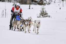 Kandersteg 2014 WM