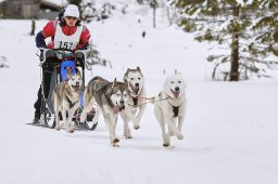 Kandersteg 2014 WM