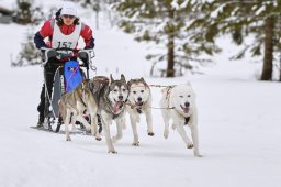 Kandersteg 2014 WM