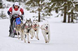 Kandersteg 2014 WM