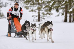 Kandersteg 2014 WM