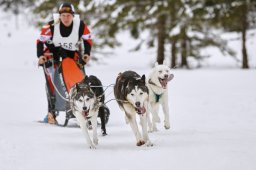 Kandersteg 2014 WM