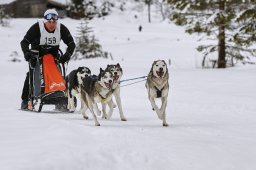 Kandersteg 2014 WM