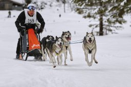 Kandersteg 2014 WM