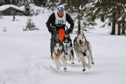 Kandersteg 2014 WM