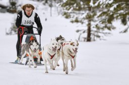 Kandersteg 2014 WM