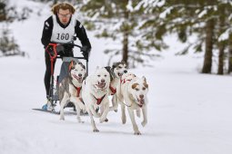 Kandersteg 2014 WM