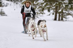 Kandersteg 2014 WM