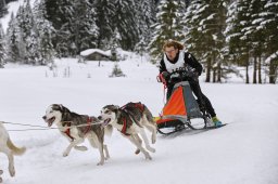 Kandersteg 2014 WM