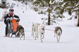 Kandersteg 2014 WM