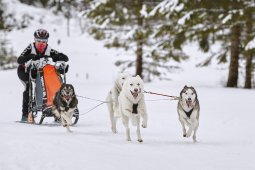 Kandersteg 2014 WM