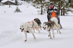 Kandersteg 2014 WM