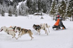 Kandersteg 2014 WM