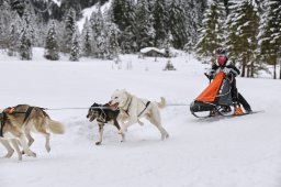 Kandersteg 2014 WM