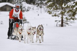 Kandersteg 2014 WM