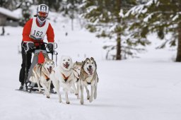 Kandersteg 2014 WM