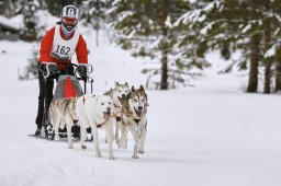 Kandersteg 2014 WM