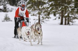 Kandersteg 2014 WM