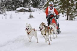 Kandersteg 2014 WM