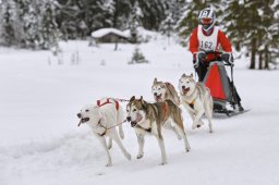 Kandersteg 2014 WM