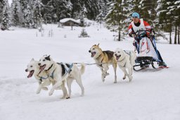 Kandersteg 2014 WM