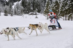 Kandersteg 2014 WM