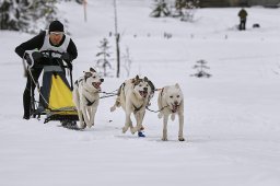 Kandersteg 2014 WM