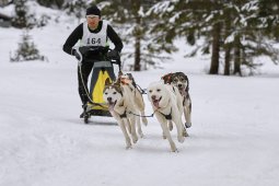 Kandersteg 2014 WM