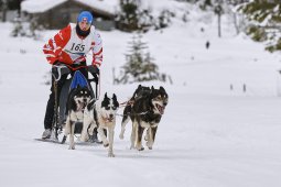 Kandersteg 2014 WM