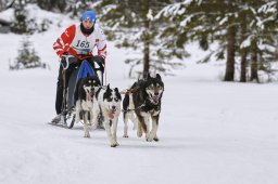 Kandersteg 2014 WM