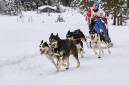 Kandersteg 2014 WM