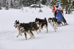 Kandersteg 2014 WM