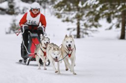 Kandersteg 2014 WM