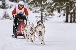 Kandersteg 2014 WM