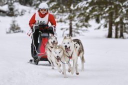 Kandersteg 2014 WM