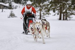 Kandersteg 2014 WM