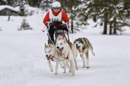 Kandersteg 2014 WM