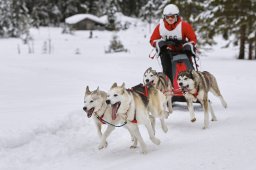 Kandersteg 2014 WM