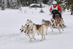 Kandersteg 2014 WM