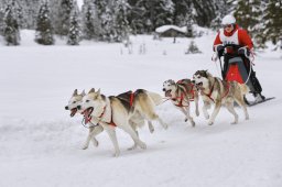 Kandersteg 2014 WM