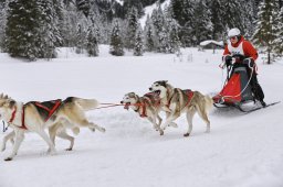 Kandersteg 2014 WM