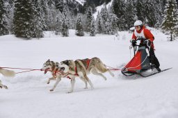 Kandersteg 2014 WM