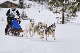 Kandersteg 2014 WM