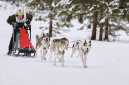 Kandersteg 2014 WM